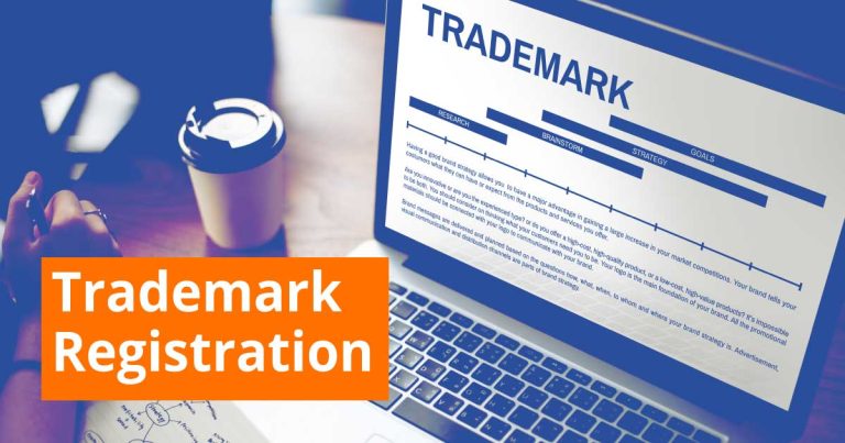 Trademark Search Database Consultant